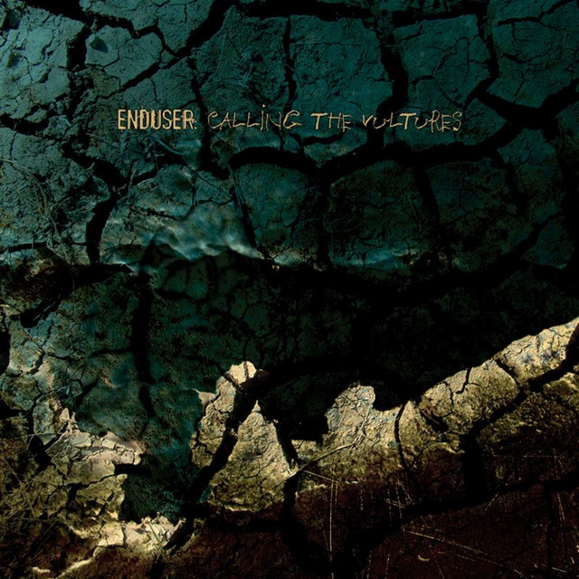 Calling the Vultures album cover