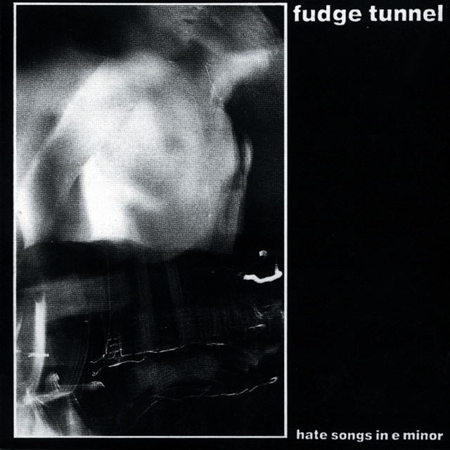 Hate Songs in E Minor album cover