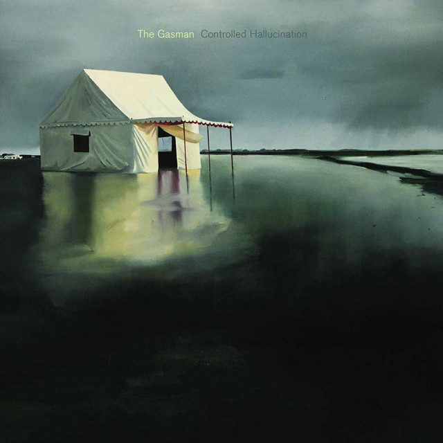 Controlled Hallucination album cover
