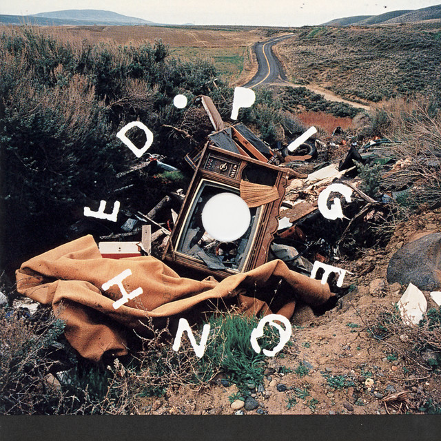 Pigeonhed album cover