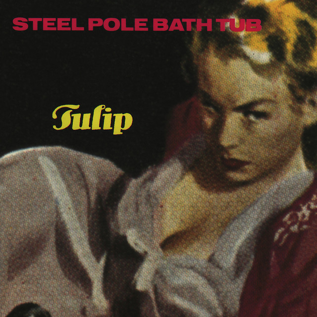 Tulip album cover