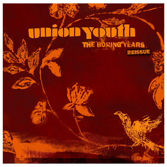 The Boring Years (Reissue) album cover
