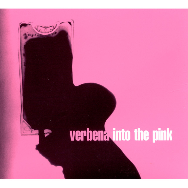Into The Pink album cover
