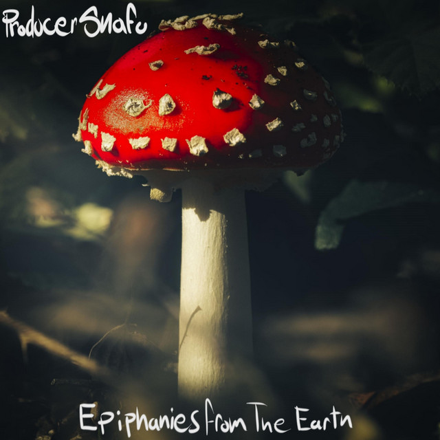 Epiphanies From The Earth album cover