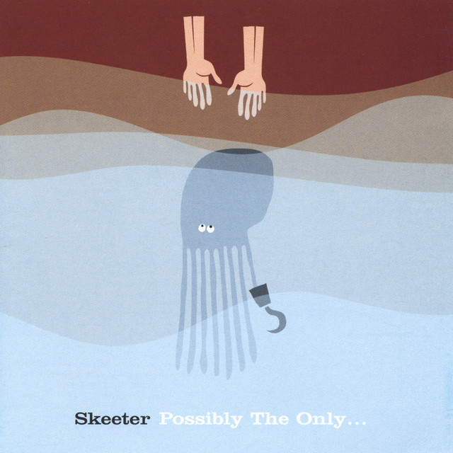 Possibly The Only... album cover