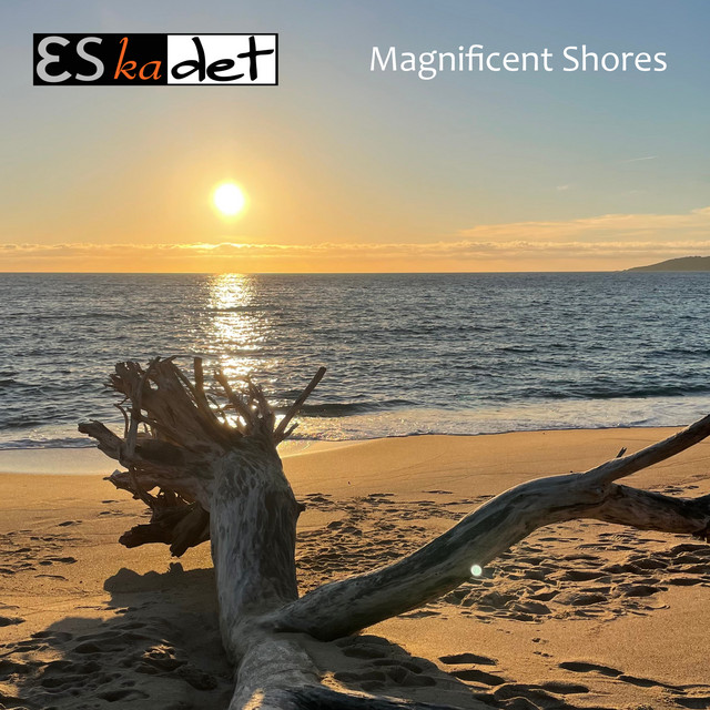 Magnificent Shores album cover