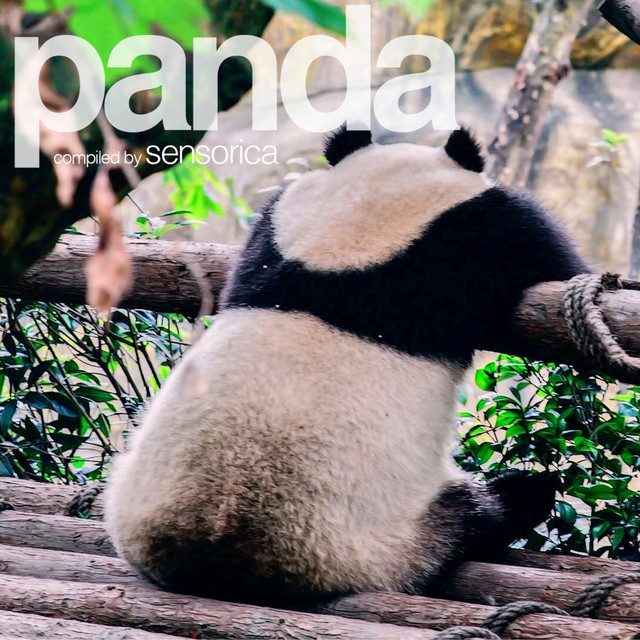 Panda Volume Two album cover
