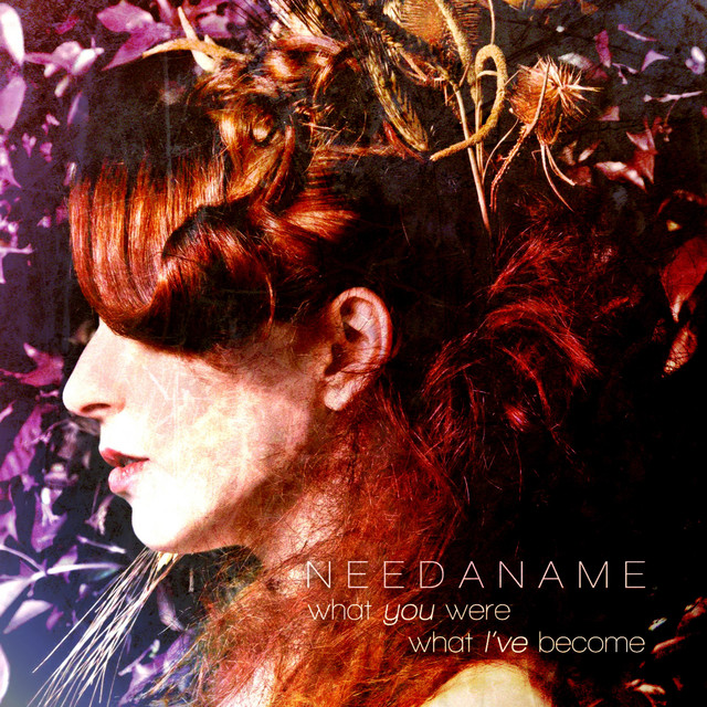 What You Were, What I've Become album cover