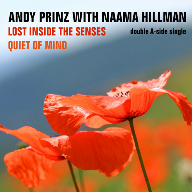 Lost Inside the Senses album cover
