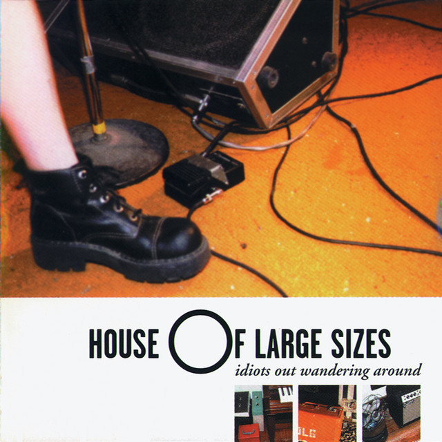 Idiots out Wandering Around album cover