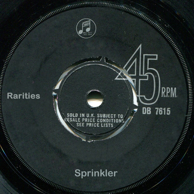 Rarities album cover