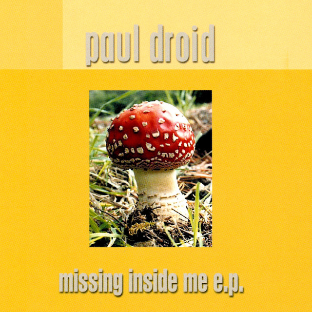 Missing Inside Me album cover