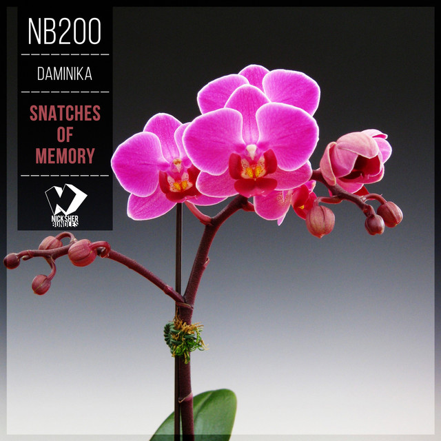 Snatches of Memory album cover