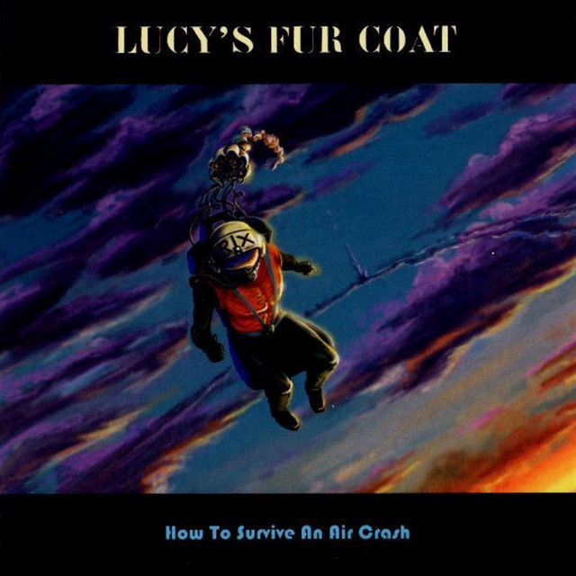 How to Survive an Air Crash album cover
