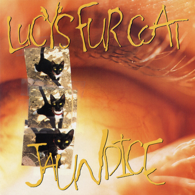 Jaundice album cover