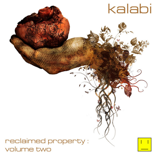 Reclaimed Property Volume 2 album cover