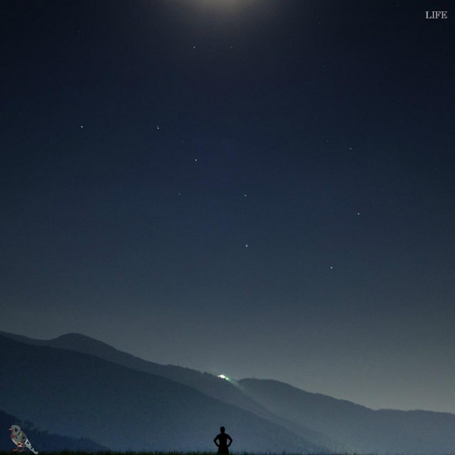 Life album cover