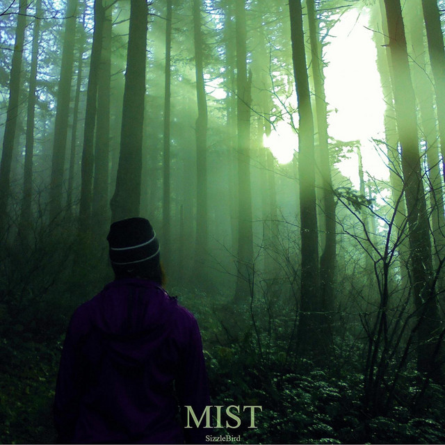 Mist (Deluxe Edition) album cover