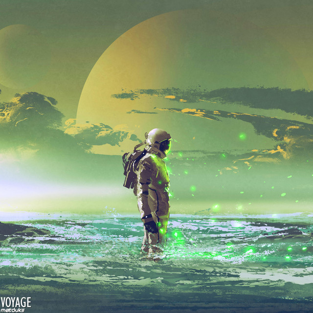 Voyage album cover