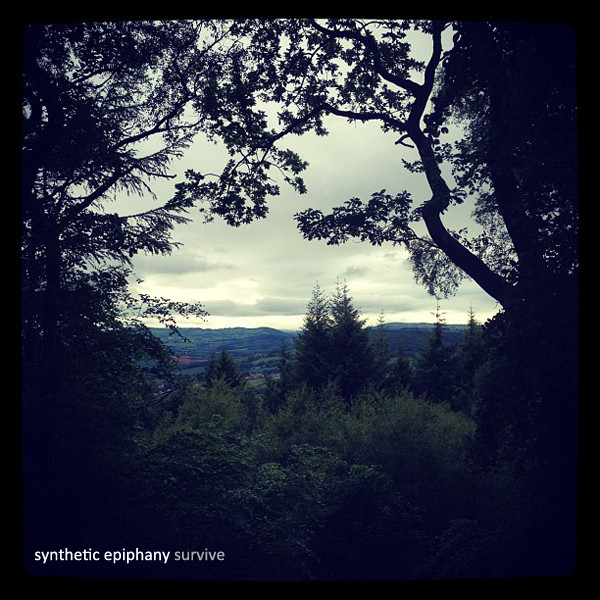 Survive album cover