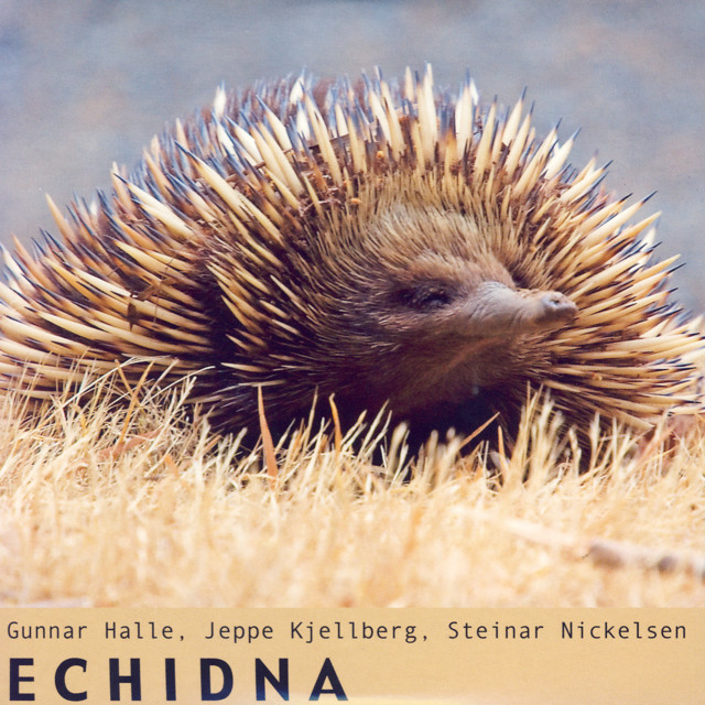 Echidna album cover