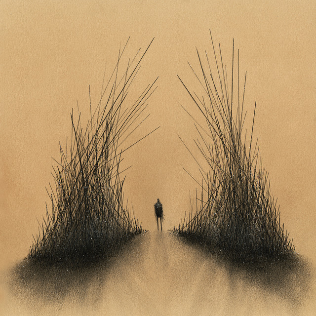 Curious Things album cover
