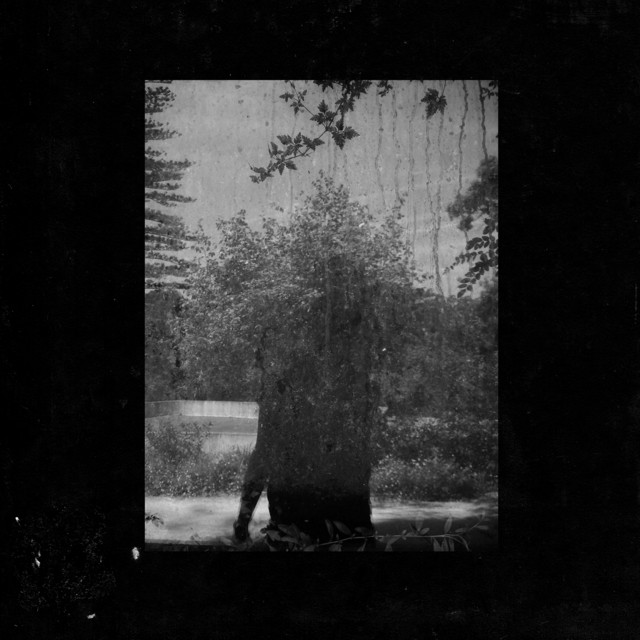 Ruins album cover