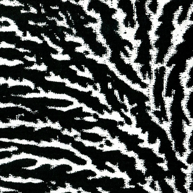 Cover the Windows and the Walls album cover