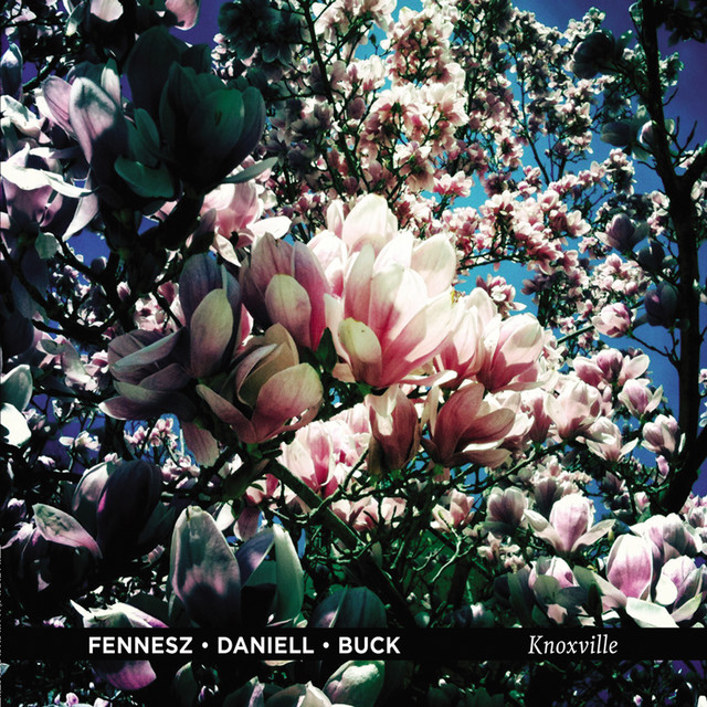 Knoxville album cover