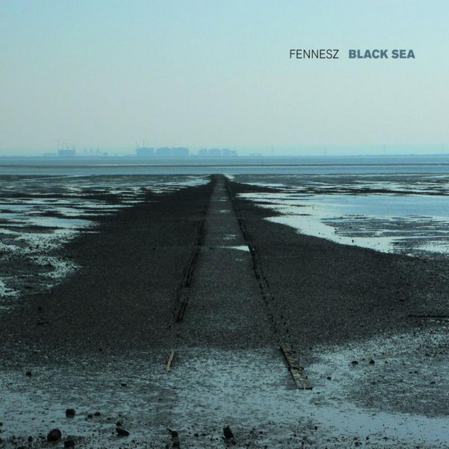 Black Sea album cover