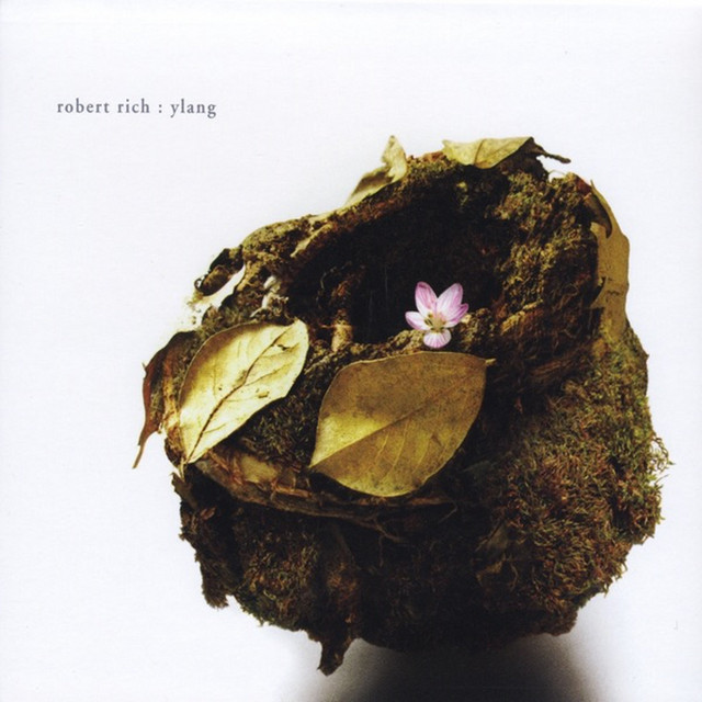 Ylang