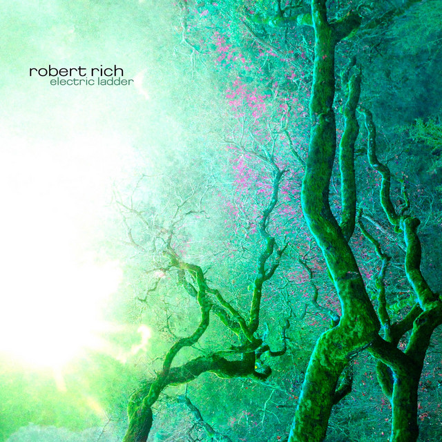 Synthesis Technology MOTM Modular as heard on Electric Ladder by Robert Rich (2006)