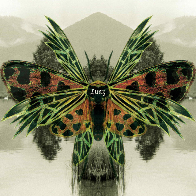 Lunz Reinterpretations album cover