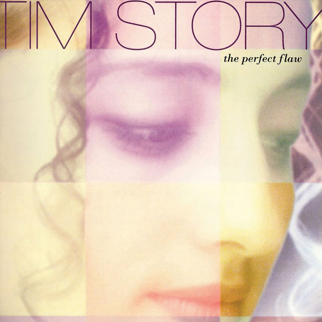 The Perfect Flaw album cover