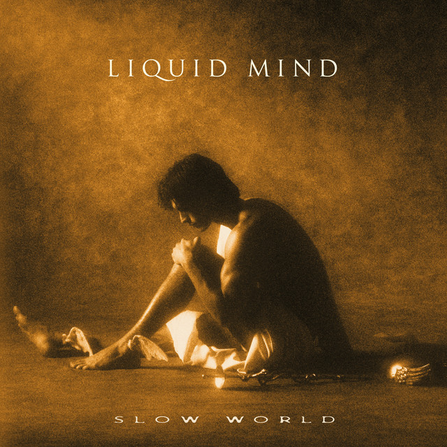 Slow World album cover