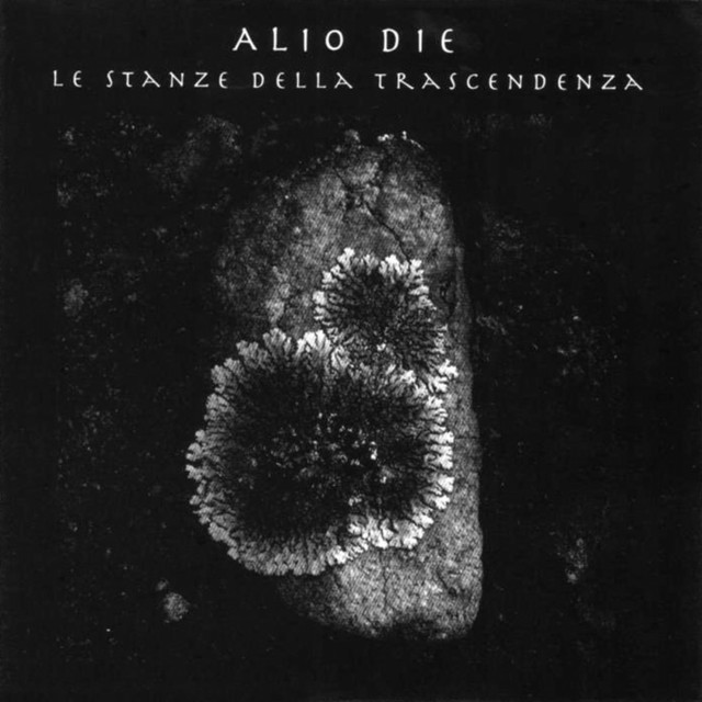 Le Stanze Della Trascendenza album cover