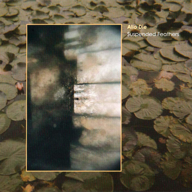 Suspended Feathers album cover