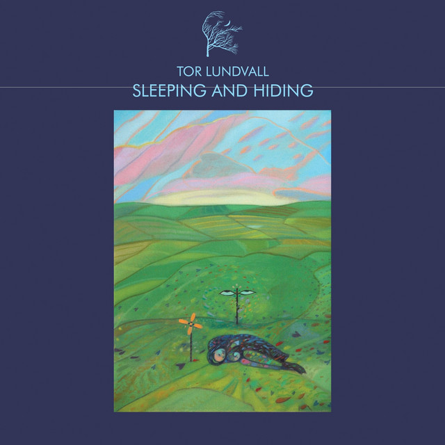 Sleeping and Hiding album cover