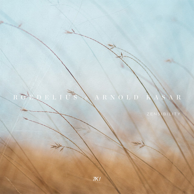 Zensibility album cover