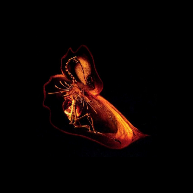 Gnayse album cover