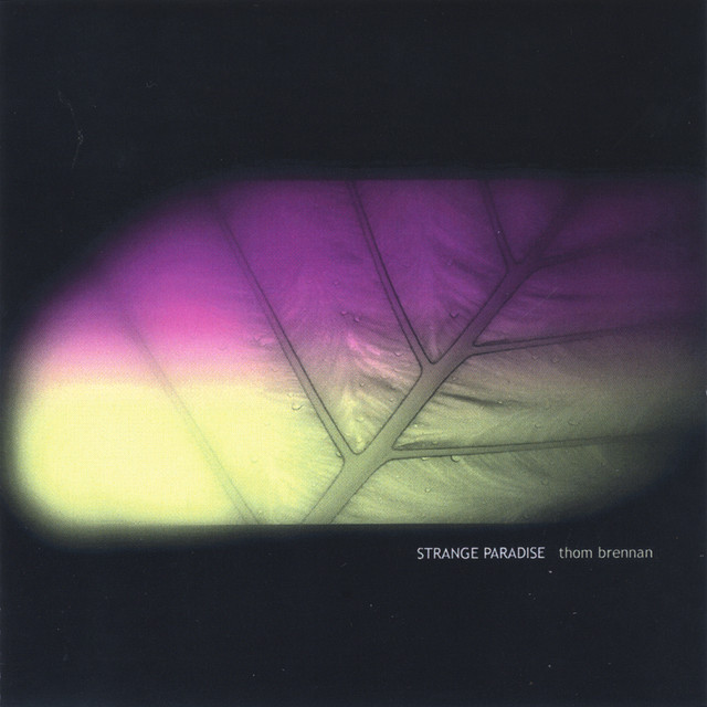 Strange Paradise album cover