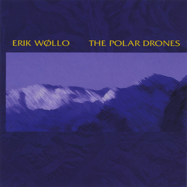 Polar Drones album cover