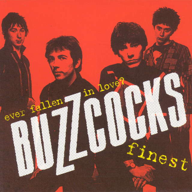 Ever Fallen In Love? Buzzcocks Finest album cover