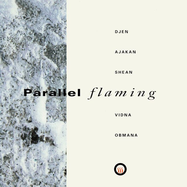 Parallel Flaming album cover