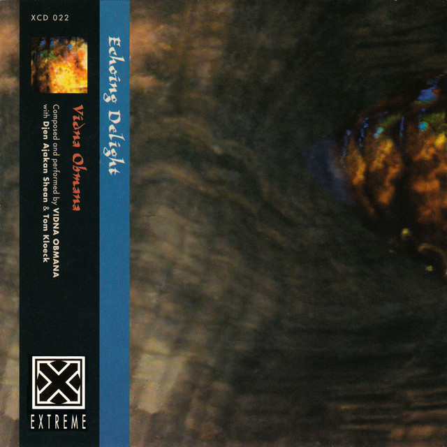 Echoing Delight album cover
