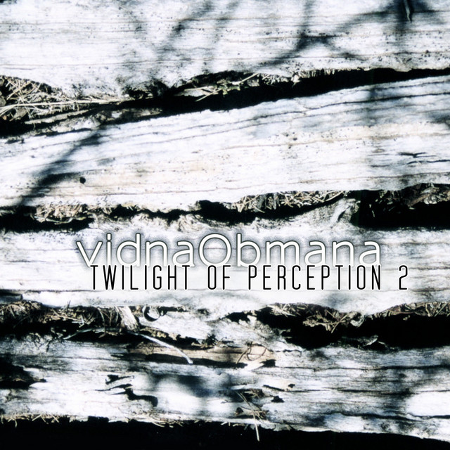 Twilight Of Perception 2 album cover