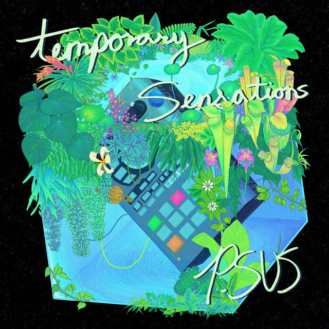 Temporary Sensations album cover