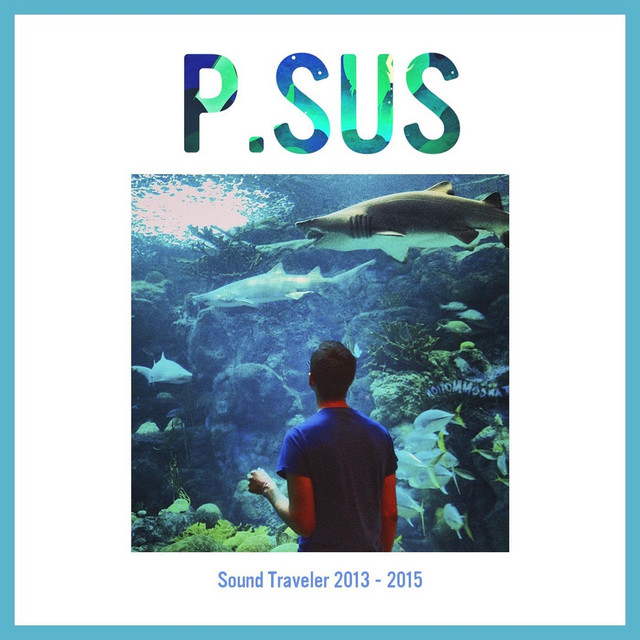 Sound Traveler 2013 - 2015 album cover