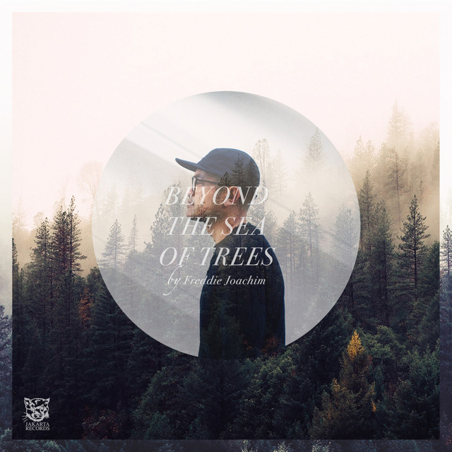 Beyond the Sea of Trees album cover