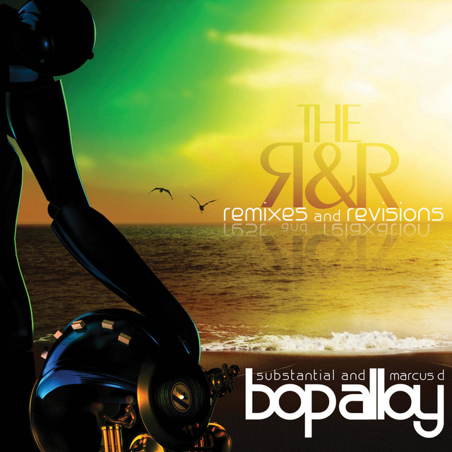 The R & R (Remixes & Revisions) album cover